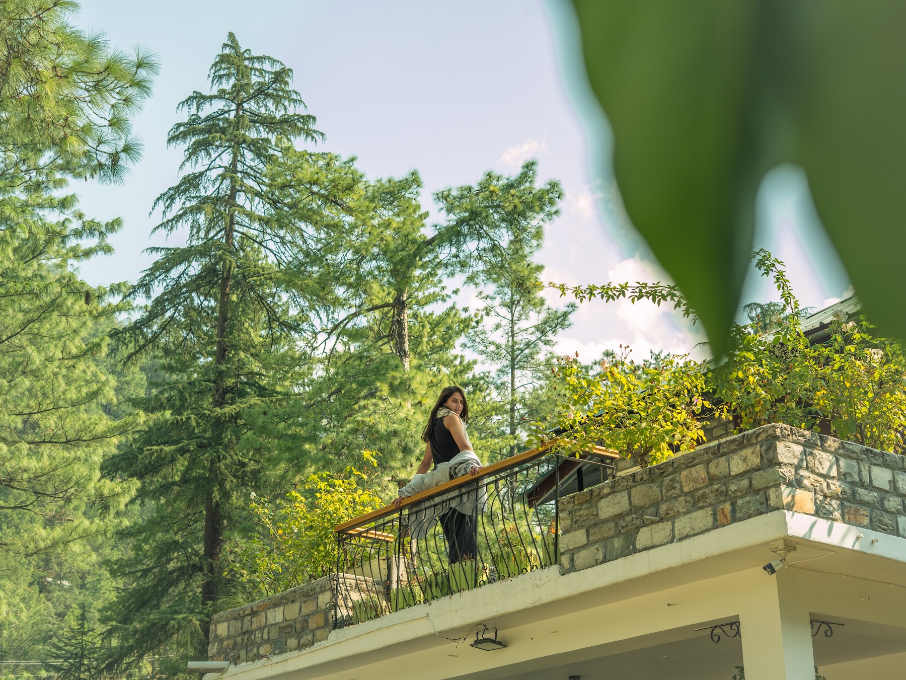 First-floor balcony framed by pine trees