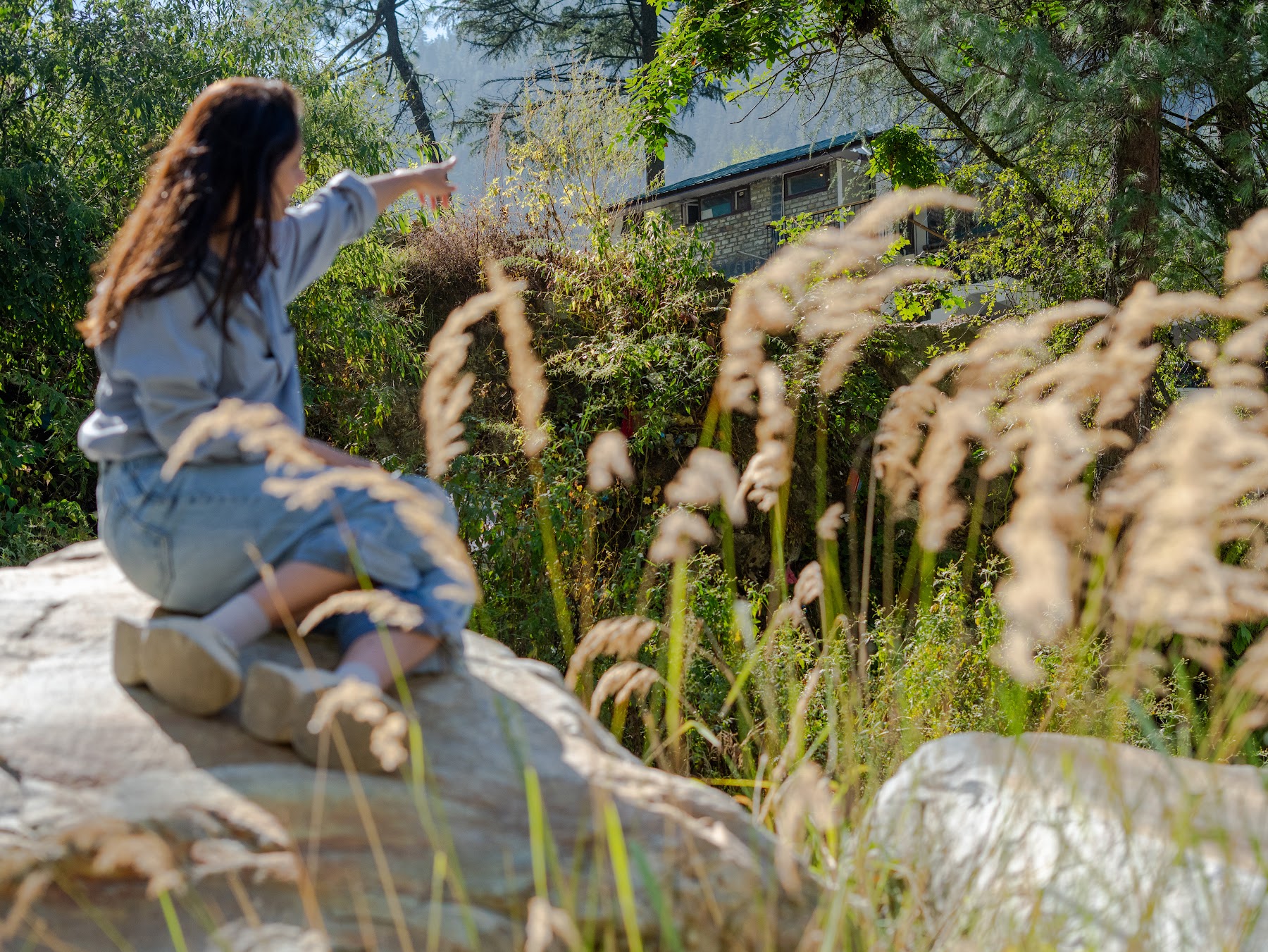 Guest among tall grasses on a nature walk