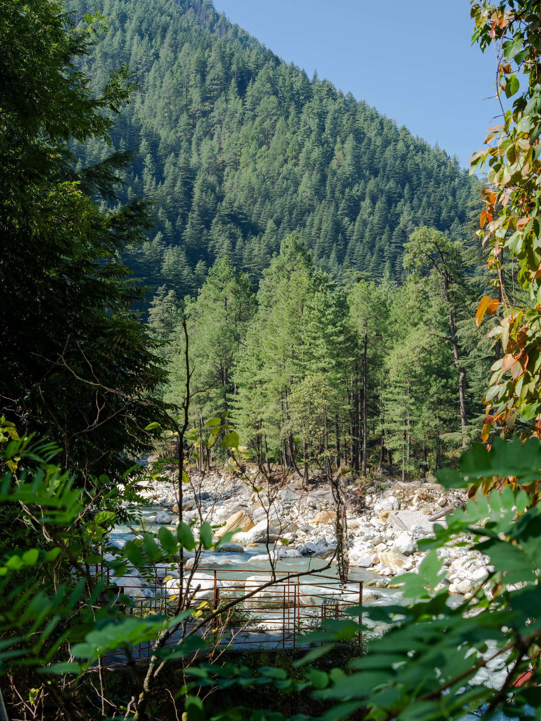 Forested slopes of the Parvati Valley under a blue sky