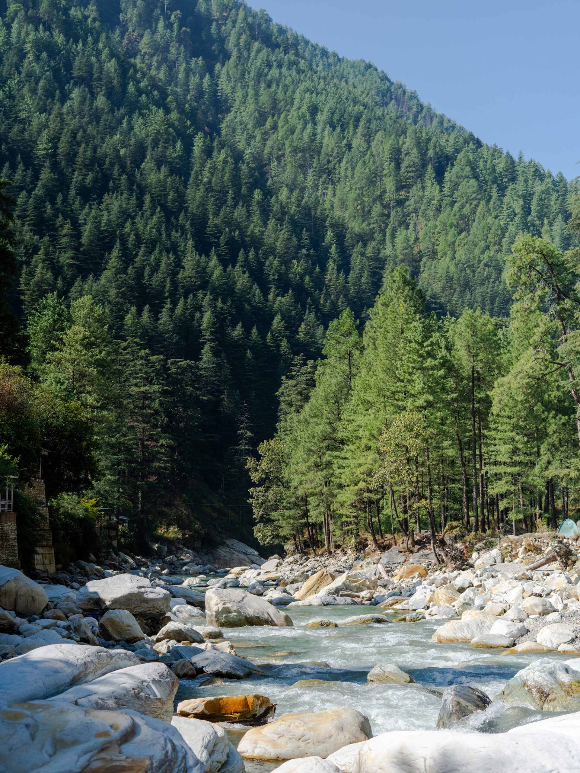 Pine-covered mountains of the Parvati Valley near Kasol