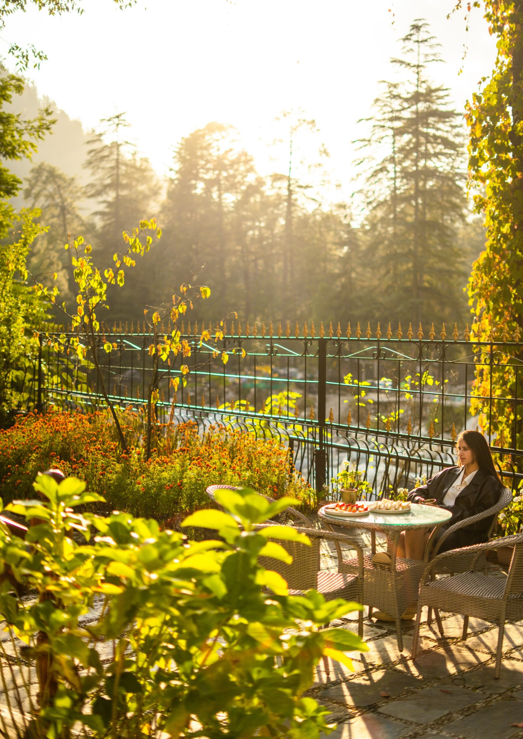 Sunlit garden at River Stone Villa with flowers and pine trees